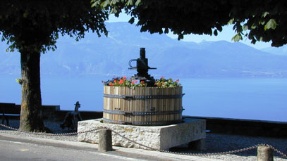 Lavaux